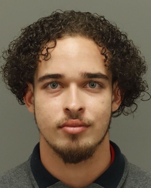 DAVID PINEDA-FERNANDEZ JORGE Info, Photos, Data, and More / Wake County Public Records