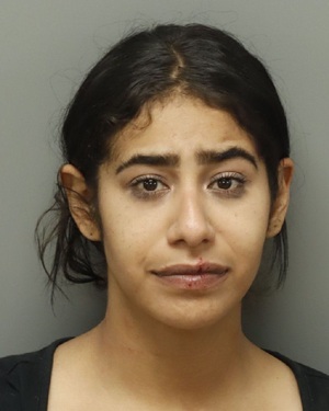 JOSSEICKA CORINA REYNOSO Fotos y informacion de registros de registros publicos del condado de Wake County NC