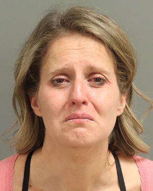 ANN MEYER KATHERINE Info, Photos, Data, and More / Wake County Public Records