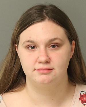 BRIANNE HANDY KENDALL Info, Photos, Data, and More / Wake County Public Records