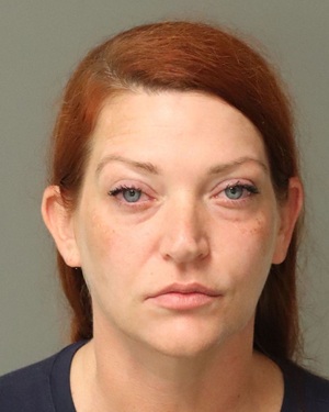 NICHOLE TEACHEY LAURA Info, Photos, Data, and More / Wake County Public Records