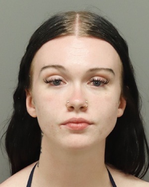 HELEN FOOS LAYLA Info, Photos, Data, and More / Wake County Public Records