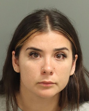 CHRISTINA USLAN LEEYA Info, Photos, Data, and More / Wake County Public Records