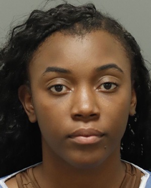 LEVIDA NICOLE LEE Fotos y informacion de registros de registros publicos del condado de Wake County NC