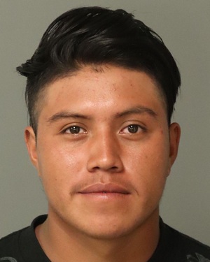 PEDRO VELASQUEZ-BRAVO LUCAS Info, Photos, Data, and More / Wake County Public Records