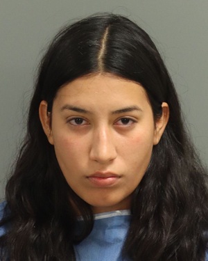 VIRGINIA PIRELA-NOCHES MARIA Photos - Images - Public Records / Public Information Report For VIRGINIA PIRELA-NOCHES MARIA