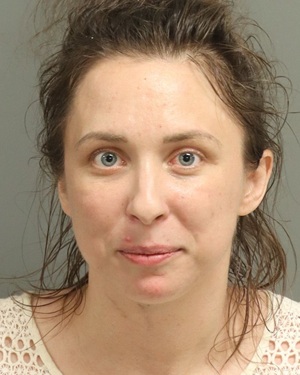 MARIE WEBB MEGAN Info, Photos, Data, and More / Wake County Public Records