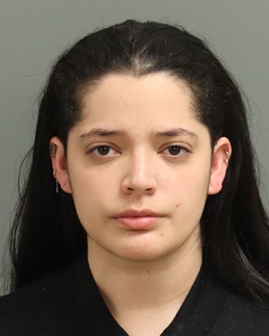 ELENA ASCANIO-BUSTAMAN MELANNIE Info, Photos, Data, and More / Wake County Public Records