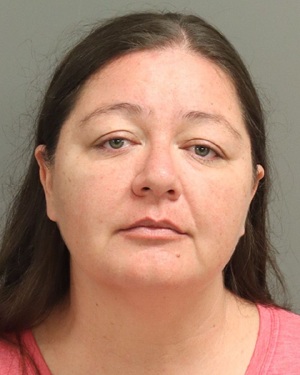 MELISSA ELAINE BENROMDHANE Fotos y informacion de registros de registros publicos del condado de Wake County NC