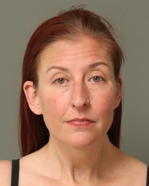 MEREDITH KRISTEN DOYLE Fotos y informacion de registros de registros publicos del condado de Wake County NC