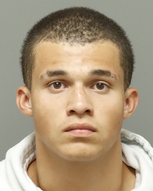 ZANDER SEPPELT MILES Info, Photos, Data, and More / Wake County Public Records