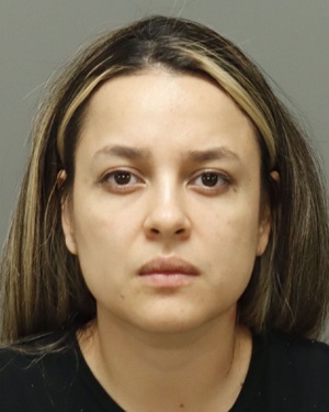 CELESTE BANEGAS-CASTRO MIRKA Info, Photos, Data, and More / Wake County Public Records