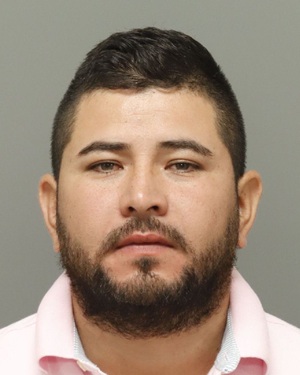 FABIAN CASTRO-SOTTO NELSON Photos - Images - Public Records / Public Information Report For FABIAN CASTRO-SOTTO NELSON