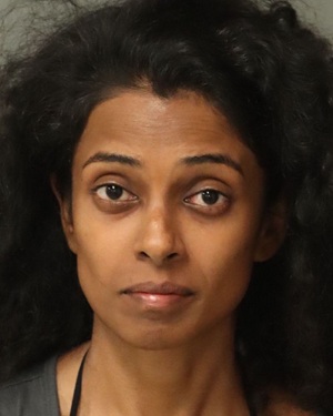 PALLETI NIHARIKA Info, Photos, Data, and More / Wake County Public Records