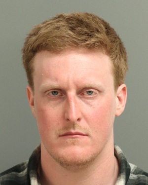 LEWIS TAYLOR PAUL Photos - Images - Public Records / Public Information Report For LEWIS TAYLOR PAUL