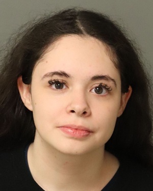 RACHEL ELIZABETH JEROME Fotos y informacion de registros de registros publicos del condado de Wake County NC