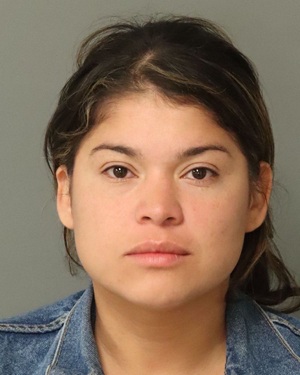 REINA CECILIA HERNANDEZ-FLORES Fotos y informacion de registros de registros publicos del condado de Wake County NC