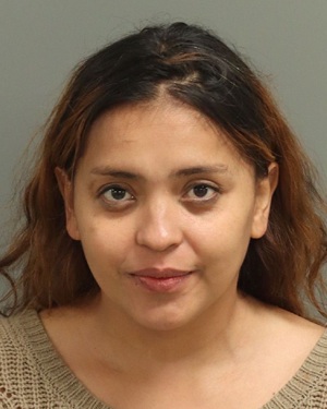 NOEMI GONZALEZ-RODAS RUTH Photos - Images - Public Records / Public Information Report For NOEMI GONZALEZ-RODAS RUTH