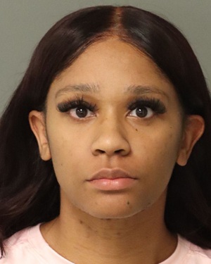 TAMIKA JEFFERS SADE Photos - Images - Public Records / Public Information Report For TAMIKA JEFFERS SADE