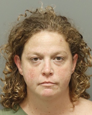 SARAH TOLER LOVELACE Fotos y informacion de registros de registros publicos del condado de Wake County NC