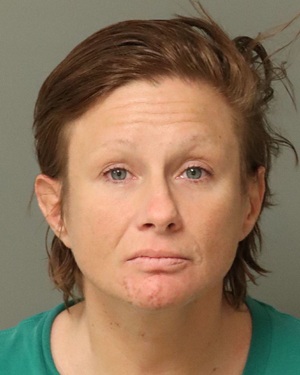 SARA ANNE BORKA Fotos y informacion de registros de registros publicos del condado de Wake County NC