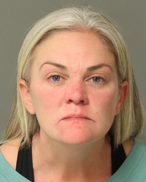 SARA ELIZABETH HESINGTON Fotos y informacion de registros de registros publicos del condado de Wake County NC