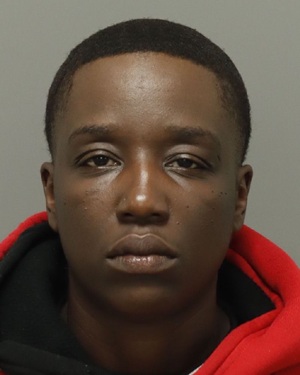 NICOLE SUTTON SHANTE Photos - Images - Public Records / Public Information Report For NICOLE SUTTON SHANTE