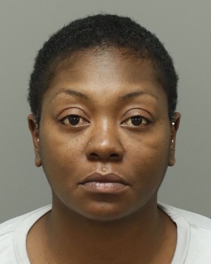 NICOLE CUMMINGS SHARITA Photos - Images - Public Records / Public Information Report For NICOLE CUMMINGS SHARITA