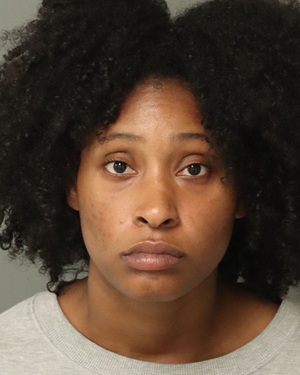 ELISE LEWIS SKYLAR Info, Photos, Data, and More / Wake County Public Records