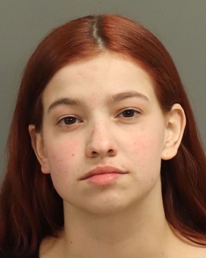 GABRIELA FECIORU SOPHIA Info, Photos, Data, and More / Wake County Public Records