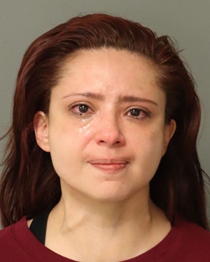 PATRICIA FERNANDEZ SYLVANA Photos - Images - Public Records / Public Information Report For PATRICIA FERNANDEZ SYLVANA