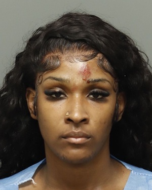 NESHELLE DAYS-HALL TANIYAH Info, Photos, Data, and More / Wake County Public Records