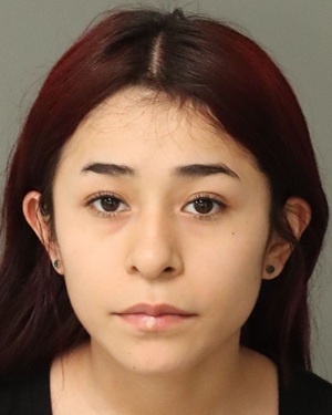 NICOLE MENDOZA VALERIANA Info, Photos, Data, and More / Wake County Public Records