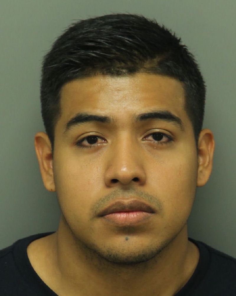 ALBERT  CASTILLO Info, Photos, Data, and More / Wake County Public Records