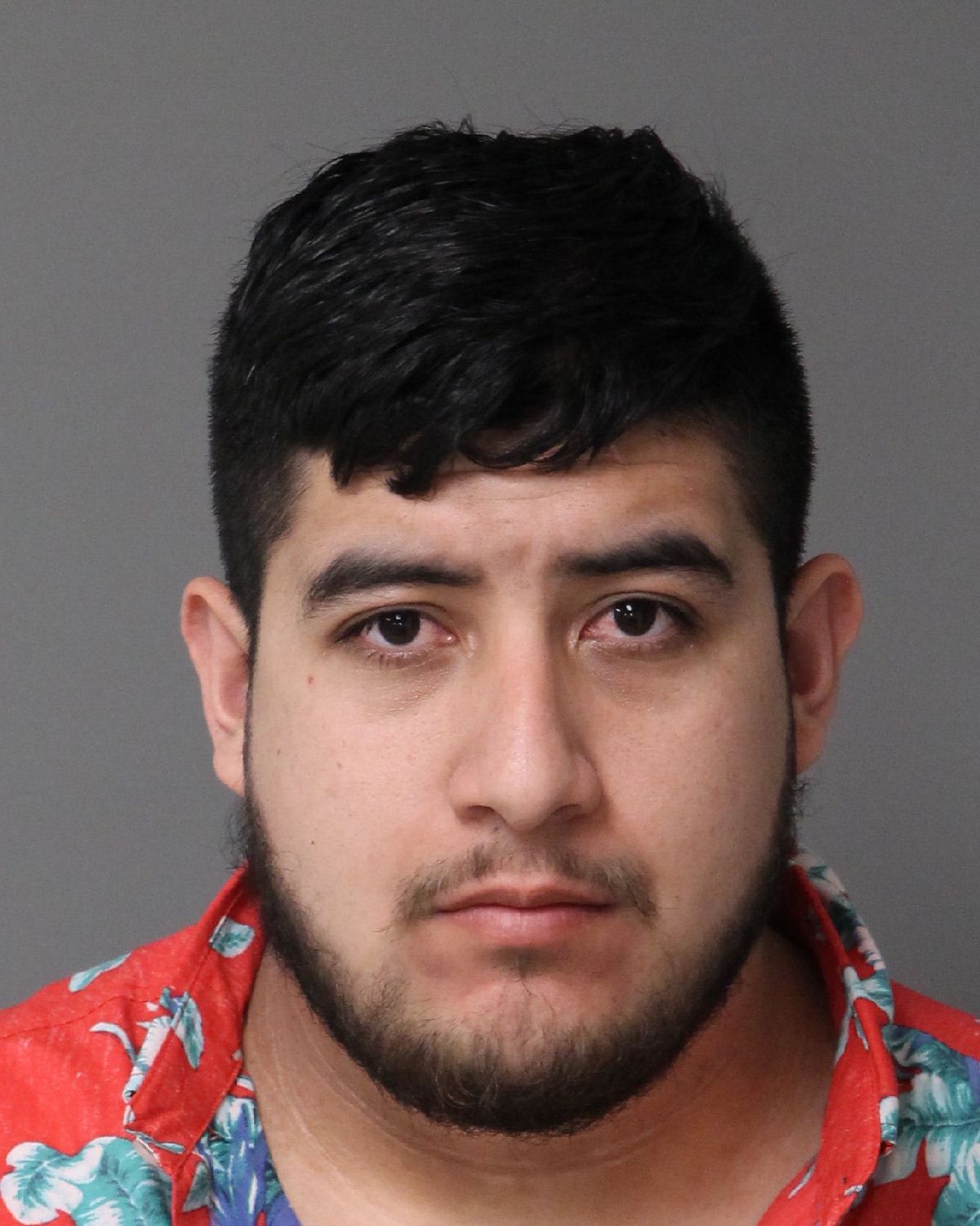 ANTONIO VALTIERRA-PACHEC ALVARO Info, Photos, Data, and More / Wake County Public Records