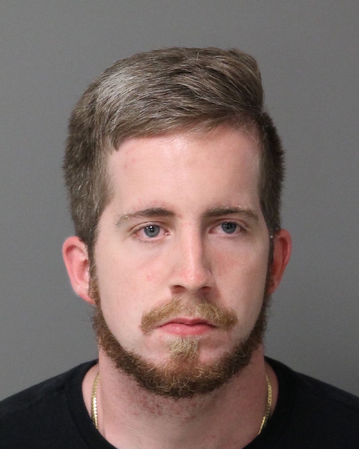 DYLAN CLARK ANDREW Info, Photos, Data, and More / Wake County Public Records