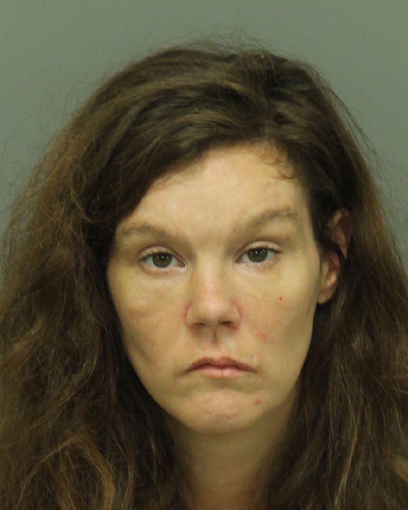 ASHLEY NICOLE DANIELS Info, Photos, Data, and More / Wake County Public Records