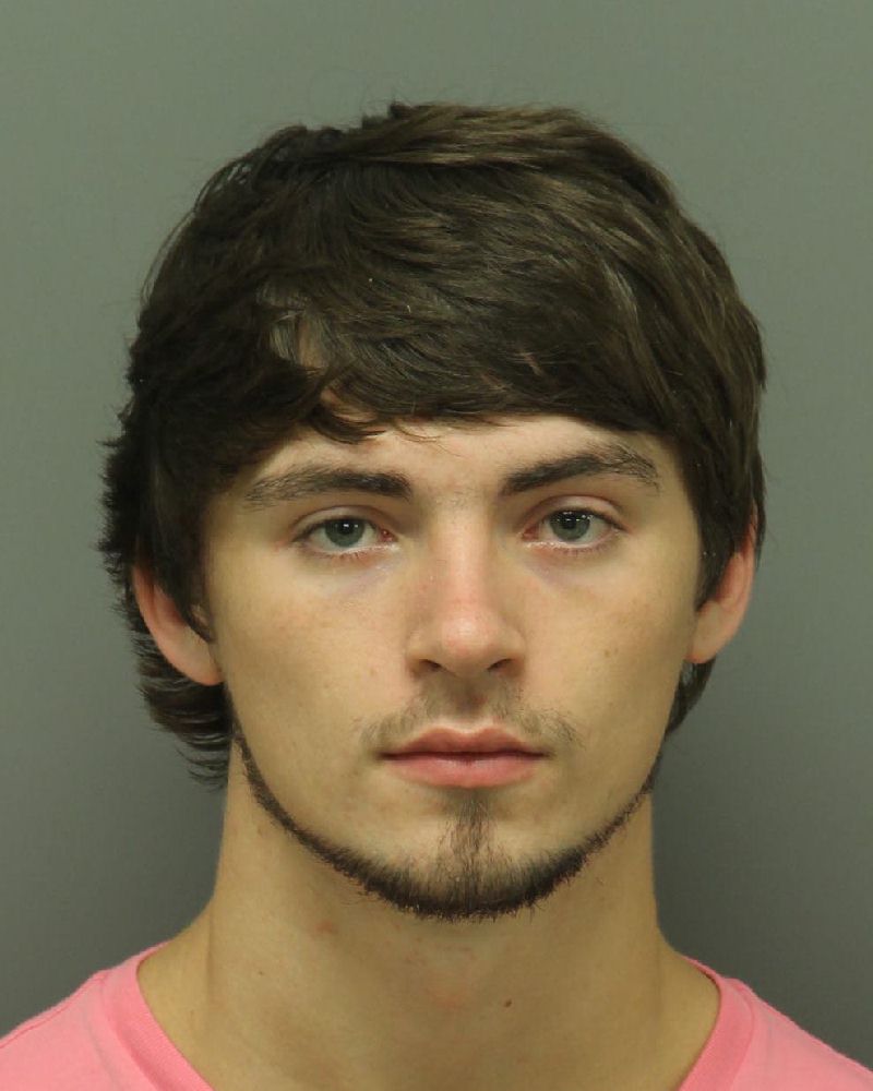 AUSTIN MATTHEW MCELWAIN Info, Photos, Data, and More / Wake County Public Records
