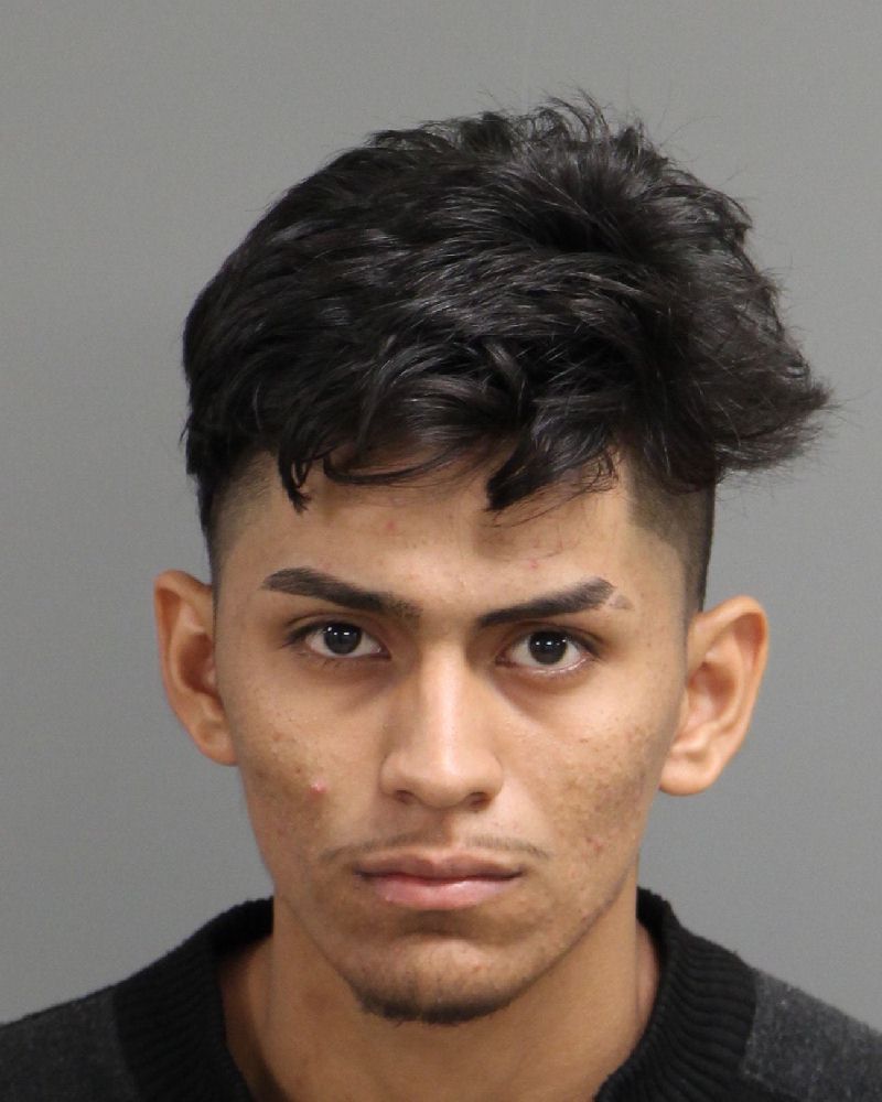 BRAYAN GABRIEL ORTEGA-VICENCIO Info, Photos, Data, and More / Wake County Public Records