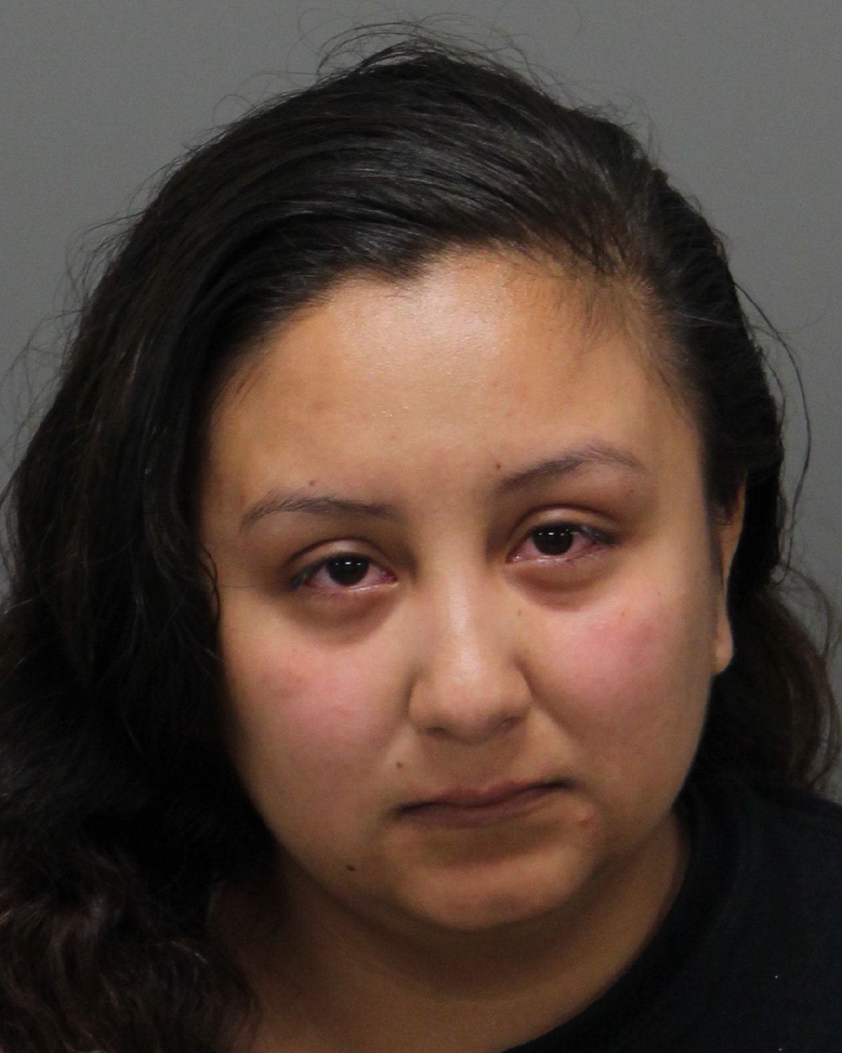 NOELLE SALAZAR BREE Info, Photos, Data, and More / Wake County Public Records