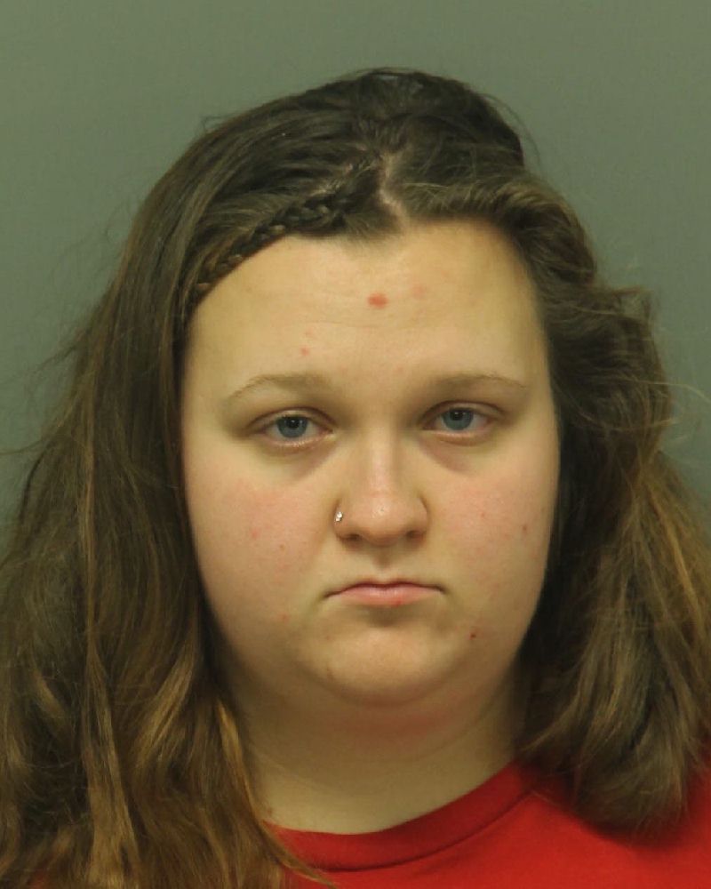BRIENNA LAUREN HORNISH Info, Photos, Data, and More / Wake County Public Records