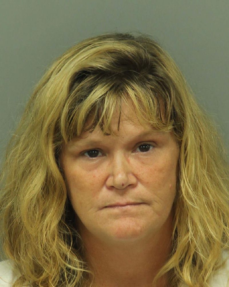 CINDY RENEE ELLINGTON Info, Photos, Data, and More / Wake County Public Records