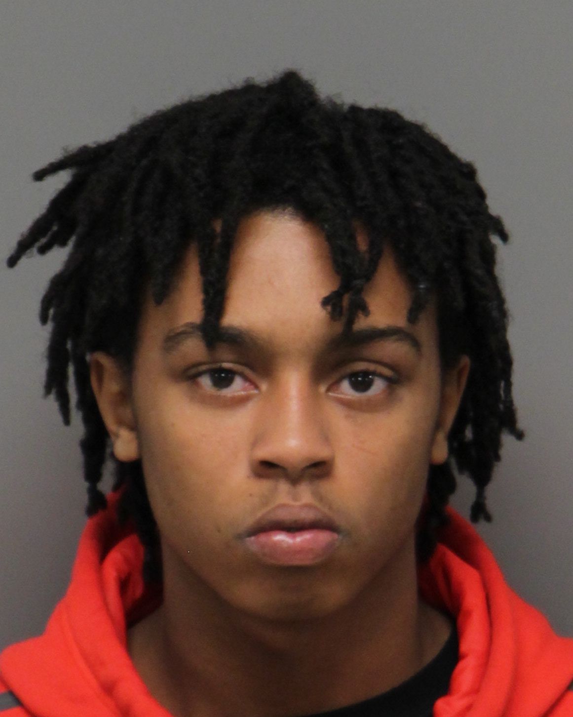 ELIJAH BRETTSON MCNEIL-HESTER Info, Photos, Data, and More / Wake County Public Records
