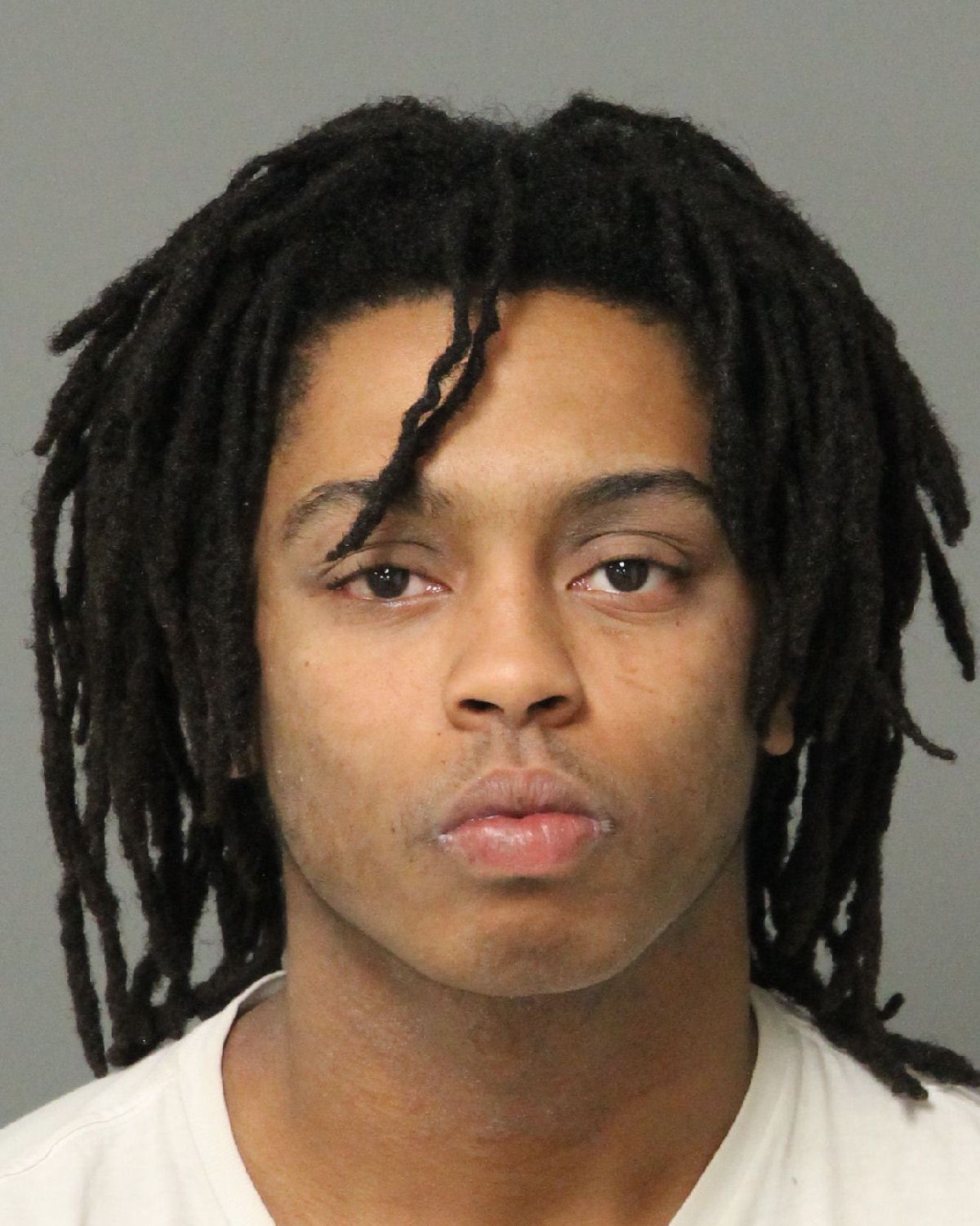 BRETTSON MCNEIL-HESTER ELIJAH Info, Photos, Data, and More / Wake County Public Records