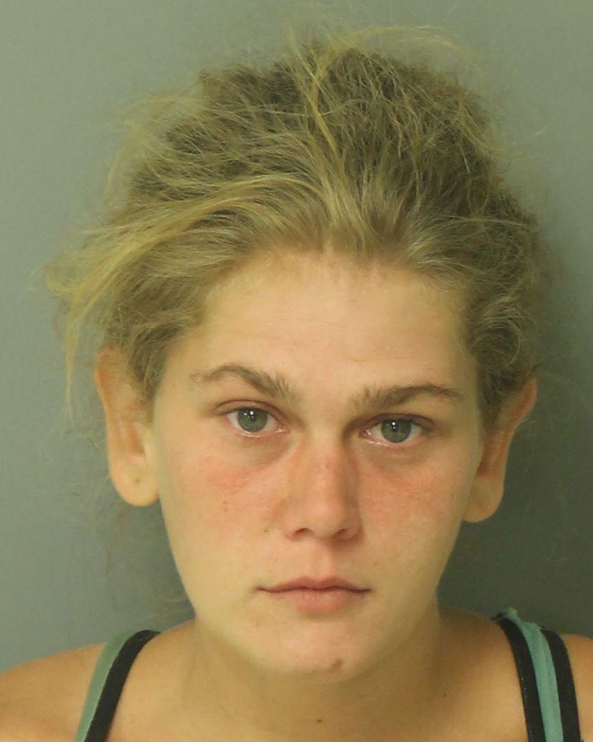 EMILY PATRICIA HEARN Info, Photos, Data, and More / Wake County Public Records