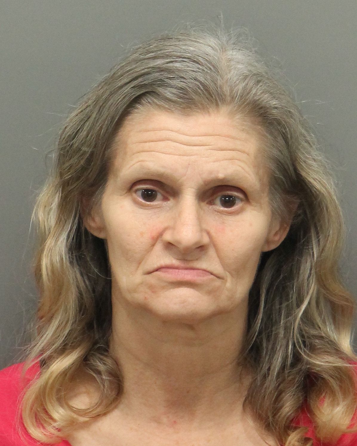 HELEN MARIE BAREFOOT Info, Photos, Data, and More / Wake County Public Records