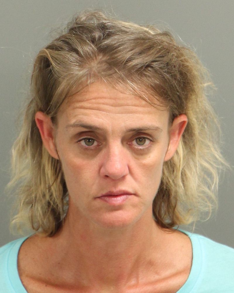 LYNN EDWARDS JAMIE Info, Photos, Data, and More / Wake County Public Records