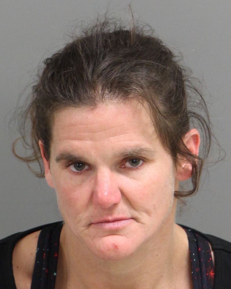 KATIE MARIE MISHUE Info, Photos, Data, and More / Wake County Public Records