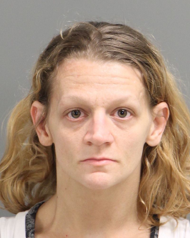 KIMBERLY ANN BENSEN Info, Photos, Data, and More / Wake County Public Records