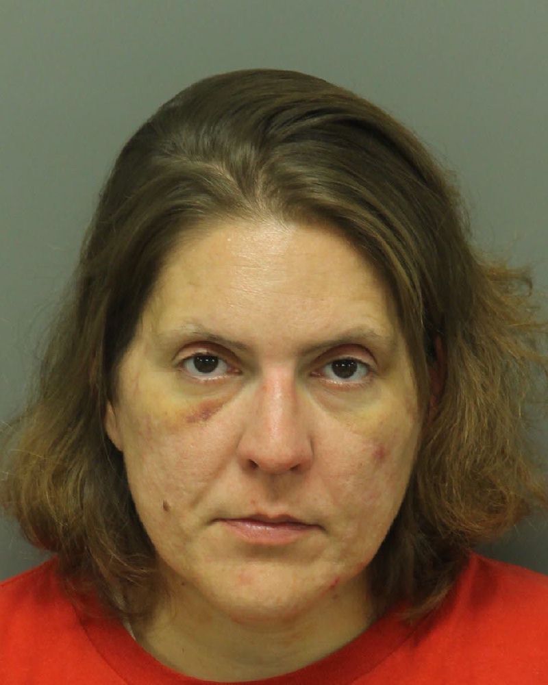 KIMBERLY ANNE GRINAN Info, Photos, Data, and More / Wake County Public Records